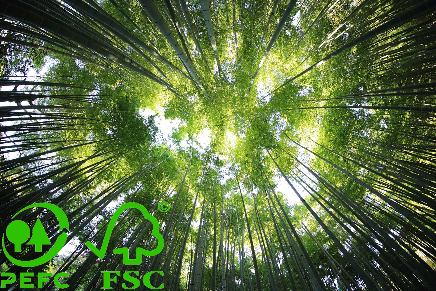 Bosques certficados PEFC FSC