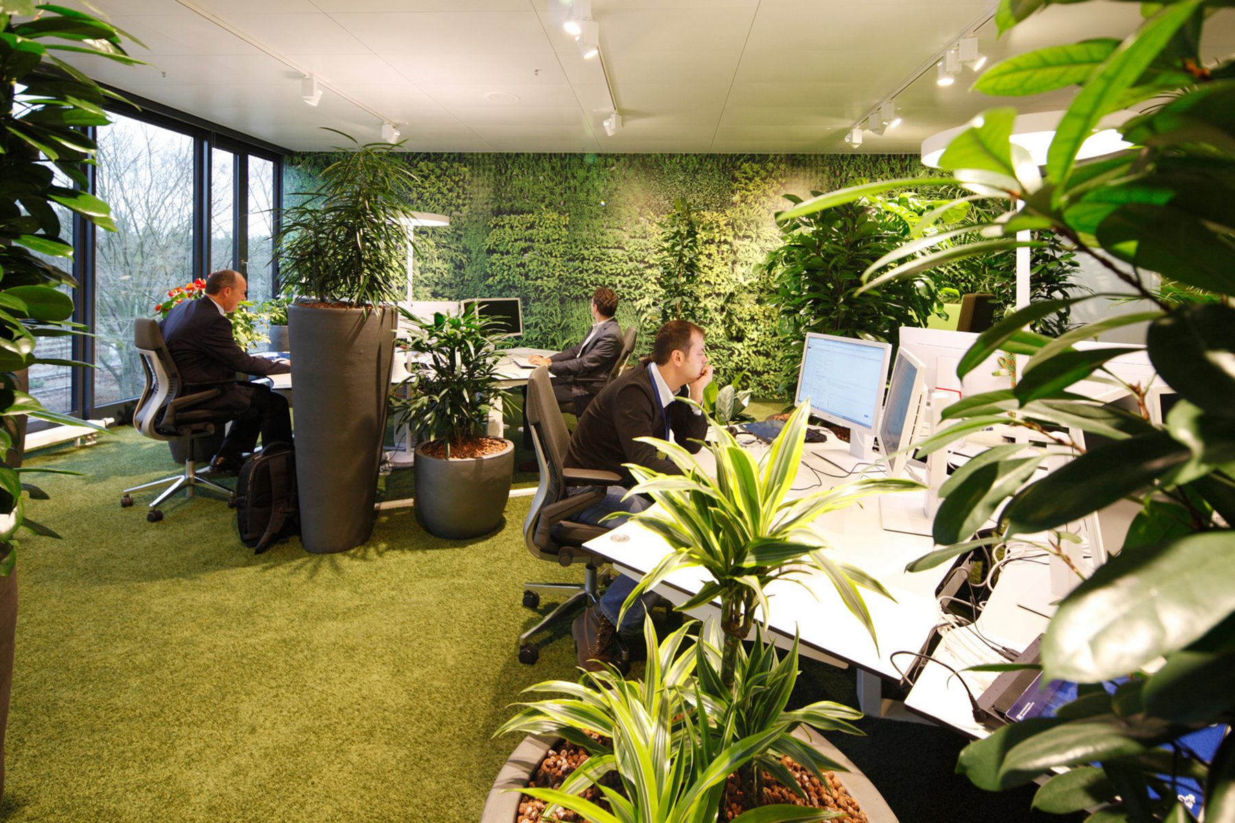 vegetación en las oficinas