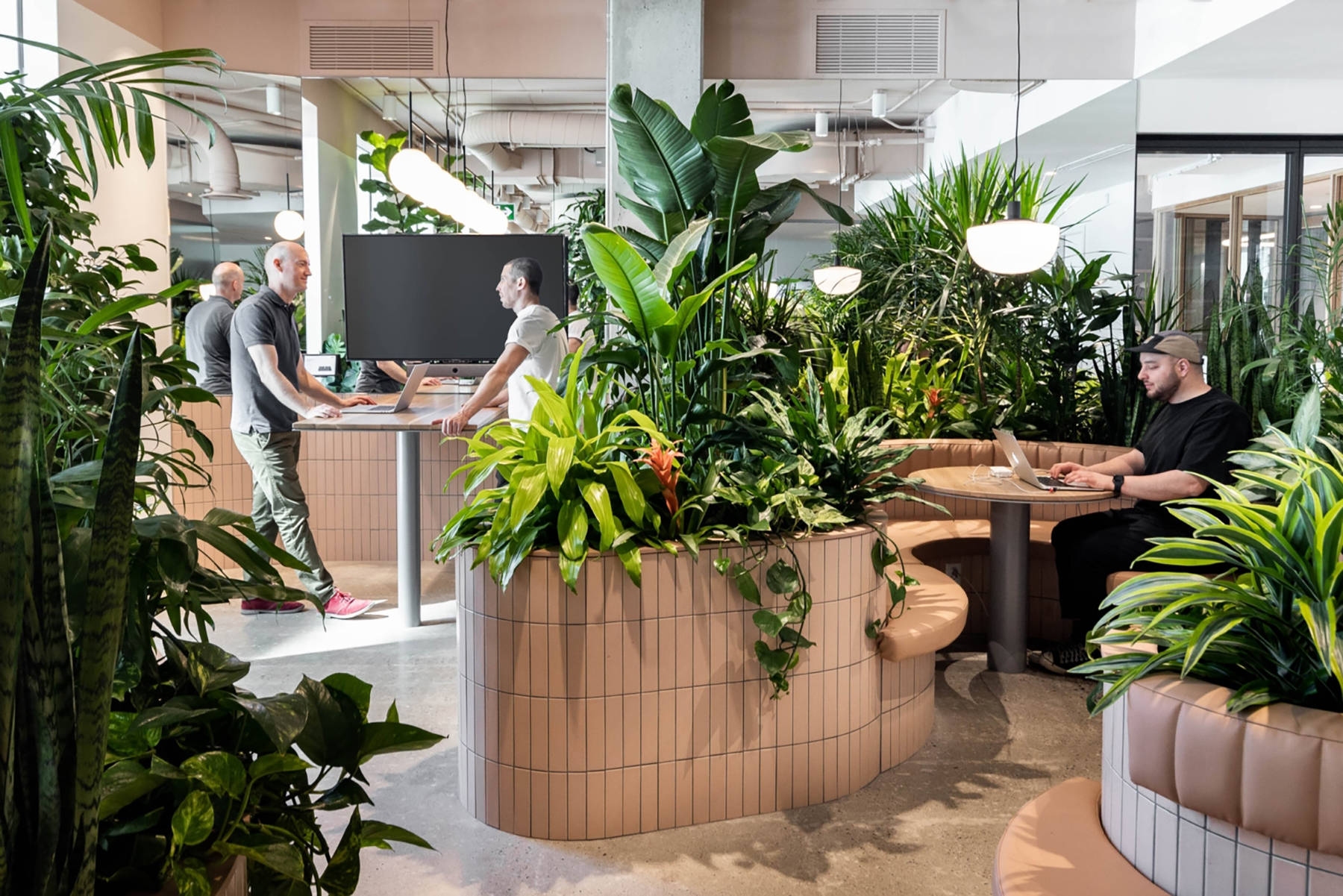 Oficinas con plantas