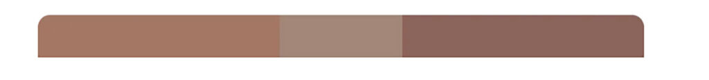 Mocha Mousse color Pantone 2025