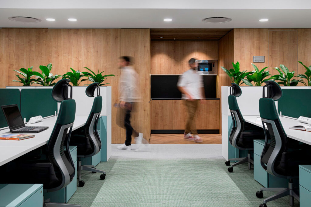 plantas en puestos de trabajo