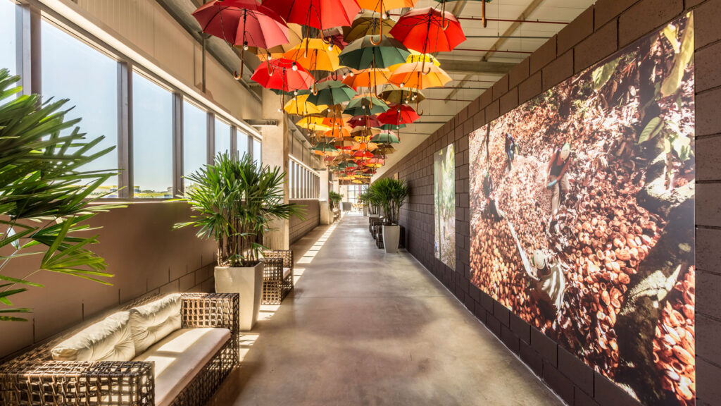 oficinas en zonas tropicales