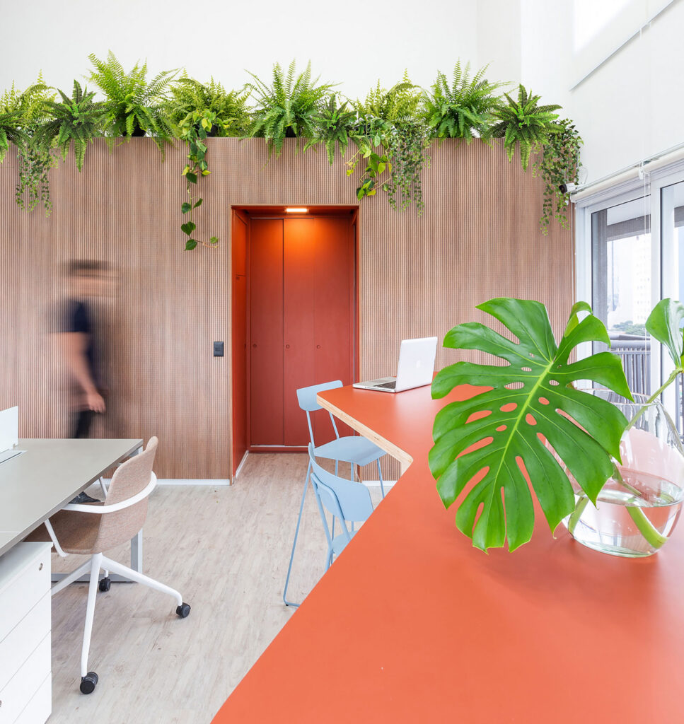 oficinas en zonas tropicales