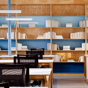 editorial en clave de color